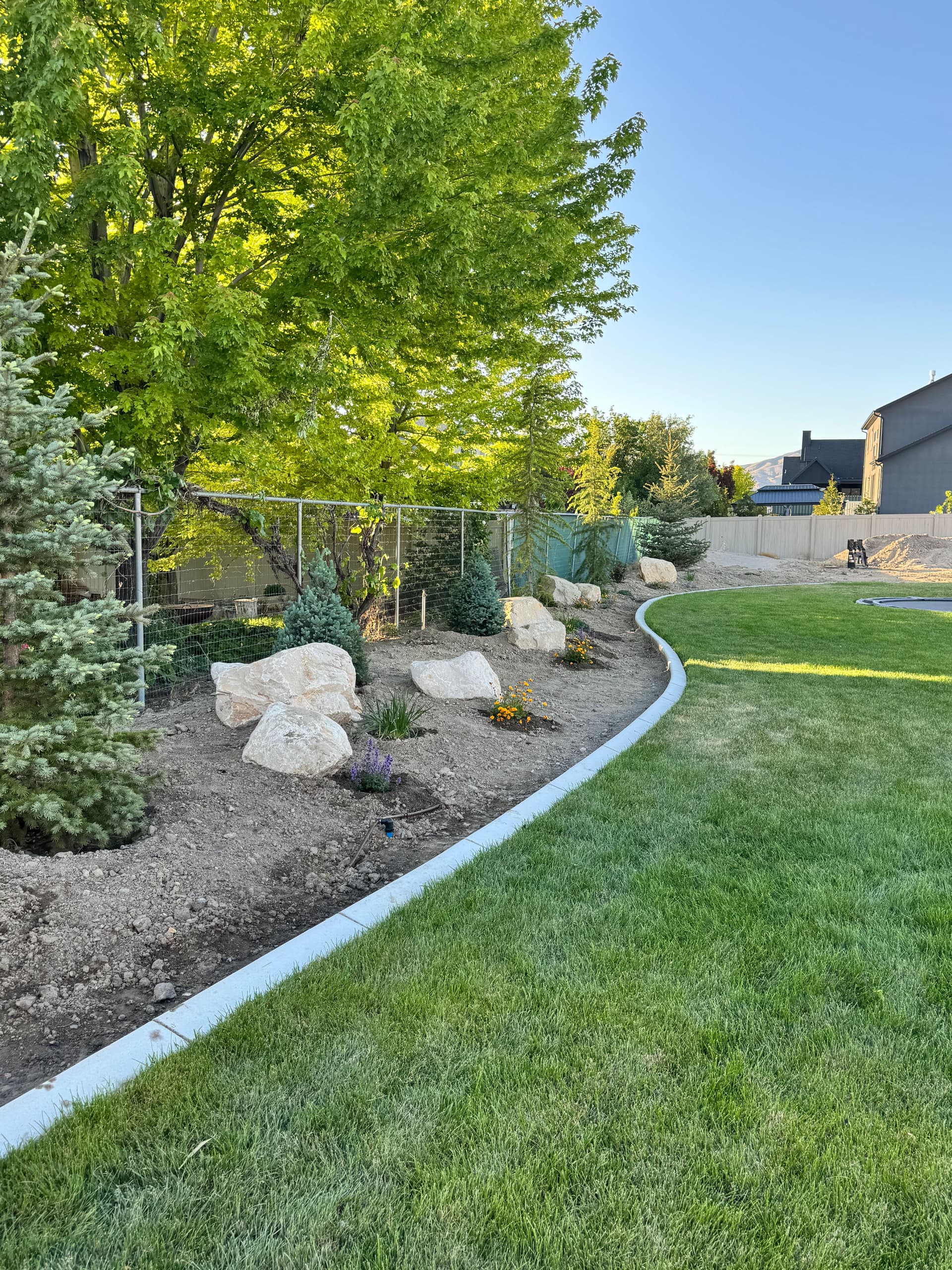 Gallery photos for Backyard Plant Installation with Trees, Boulders, and Black Mulch in Lehi: Image #6