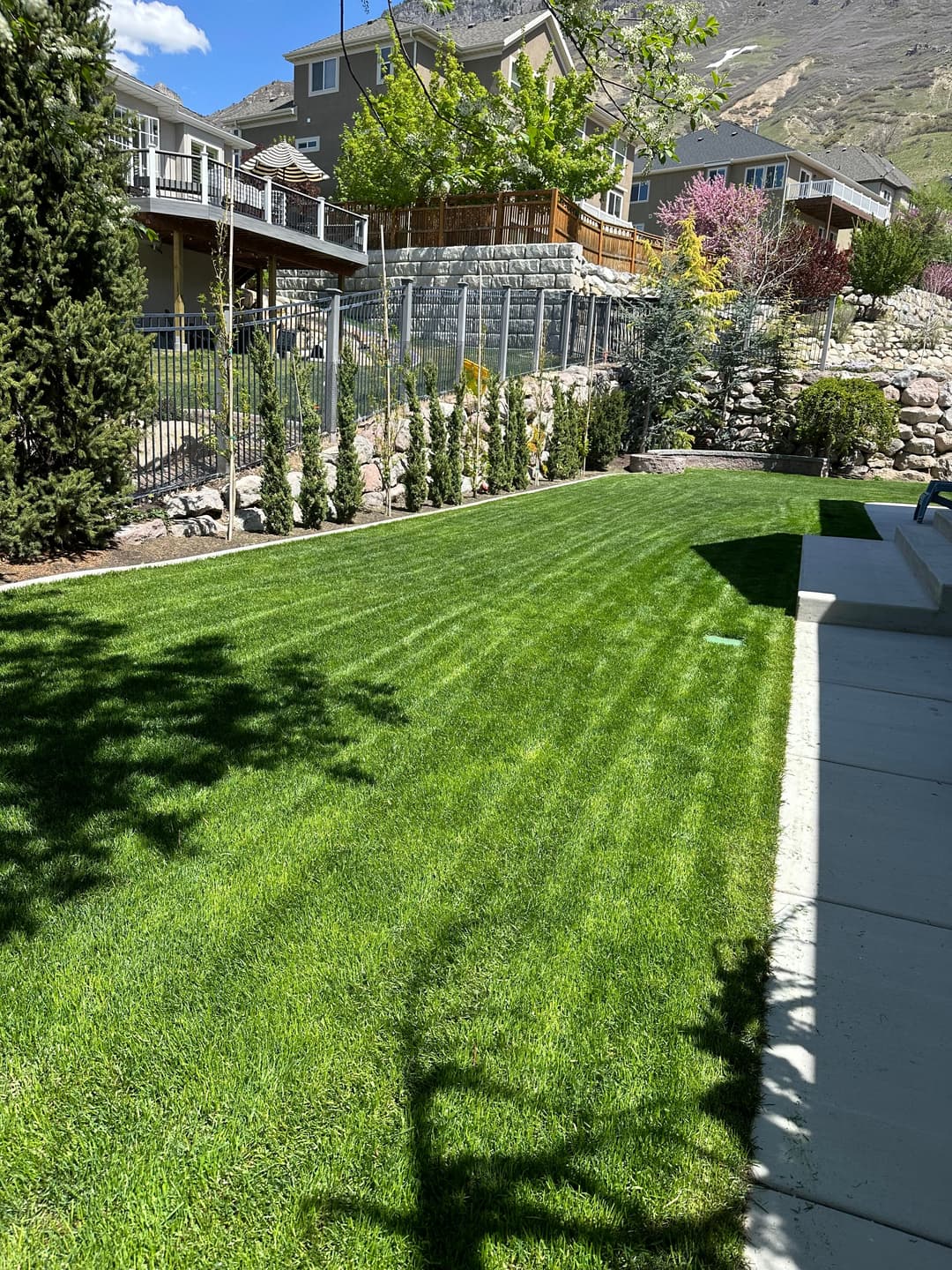 Lush green lawn with striped pattern, trees, and landscaped yard in a residential area.