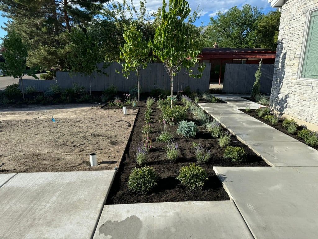 Newly landscaped garden with pathways, trees, and diverse shrubbery in a residential area.