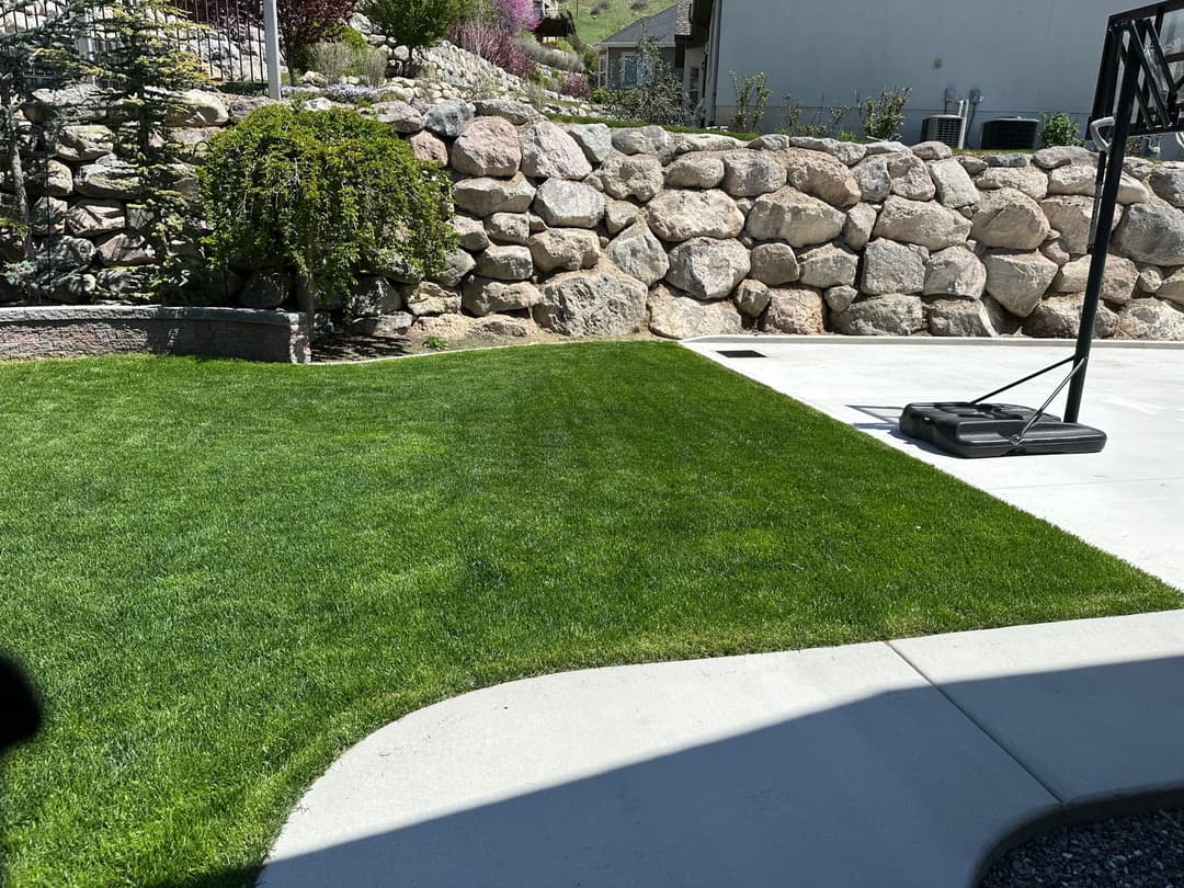 Lush green lawn beside a stone wall and a concrete basketball hoop area.