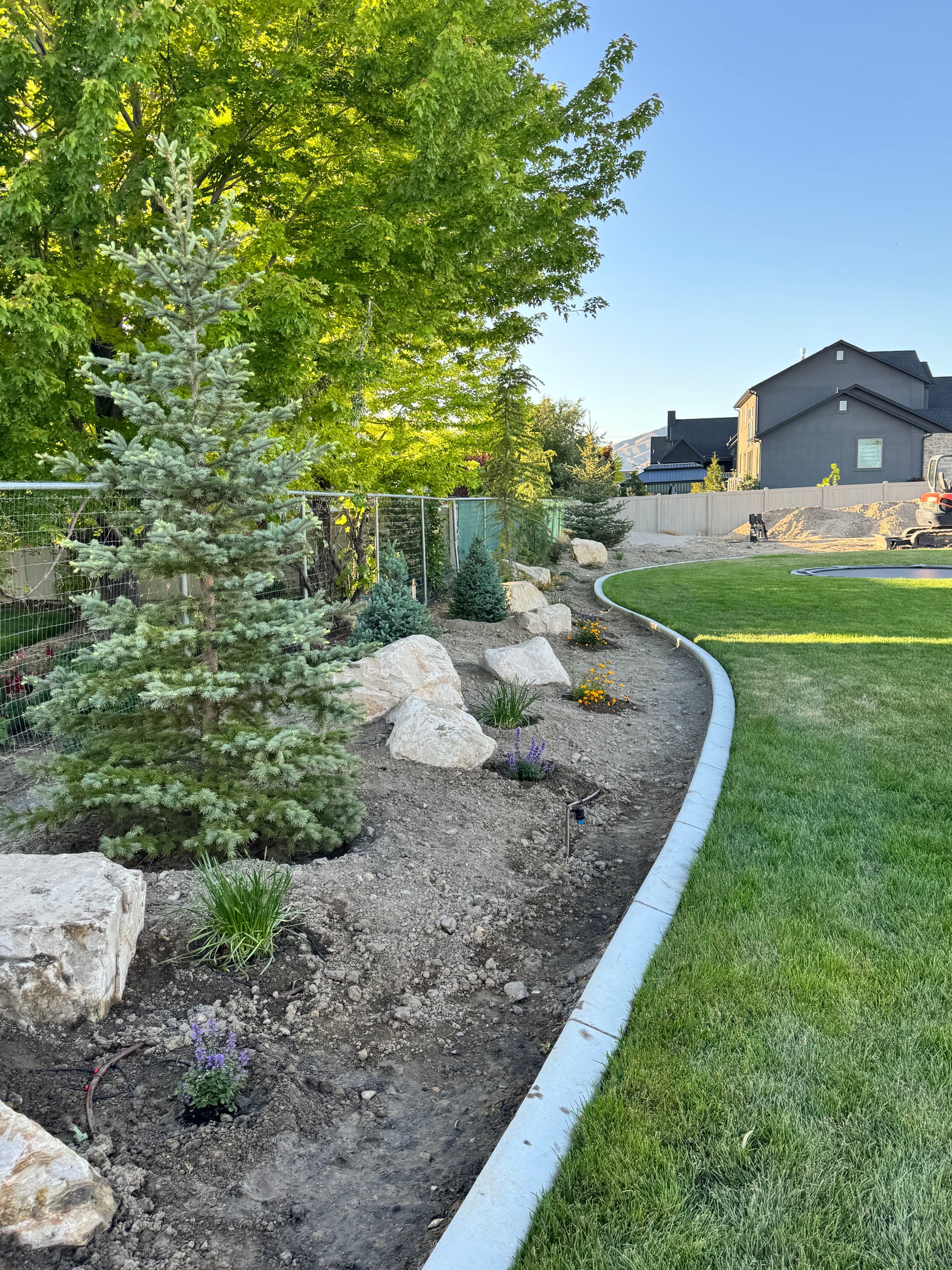 Gallery photos for Backyard Plant Installation with Trees, Boulders, and Black Mulch in Lehi: Image #1