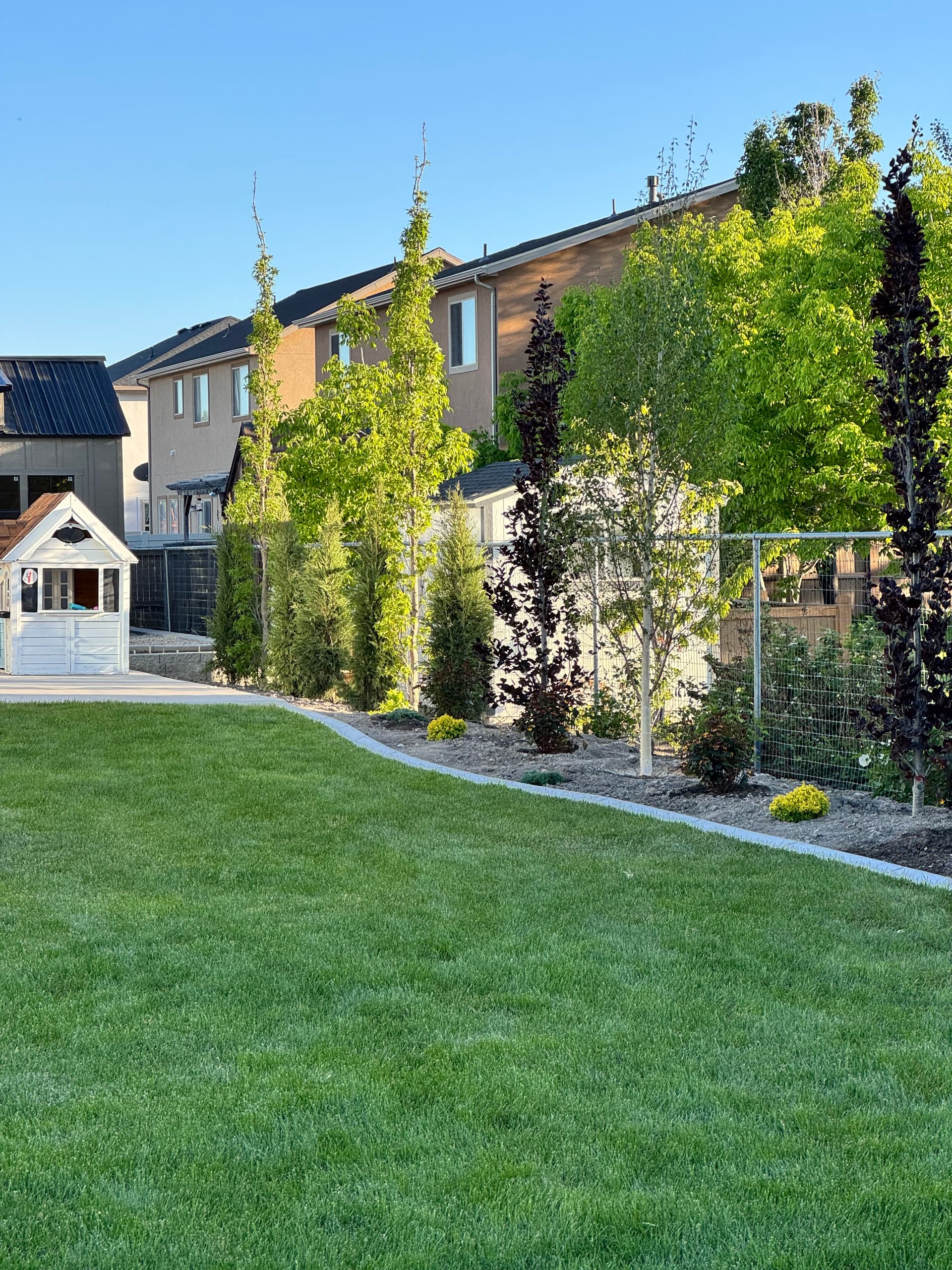 Gallery photos for Backyard Plant Installation with Trees, Boulders, and Black Mulch in Lehi: Image #5