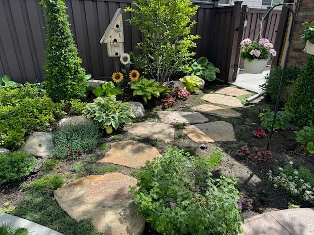 Transformative Landscaping with Vibrant Greenery