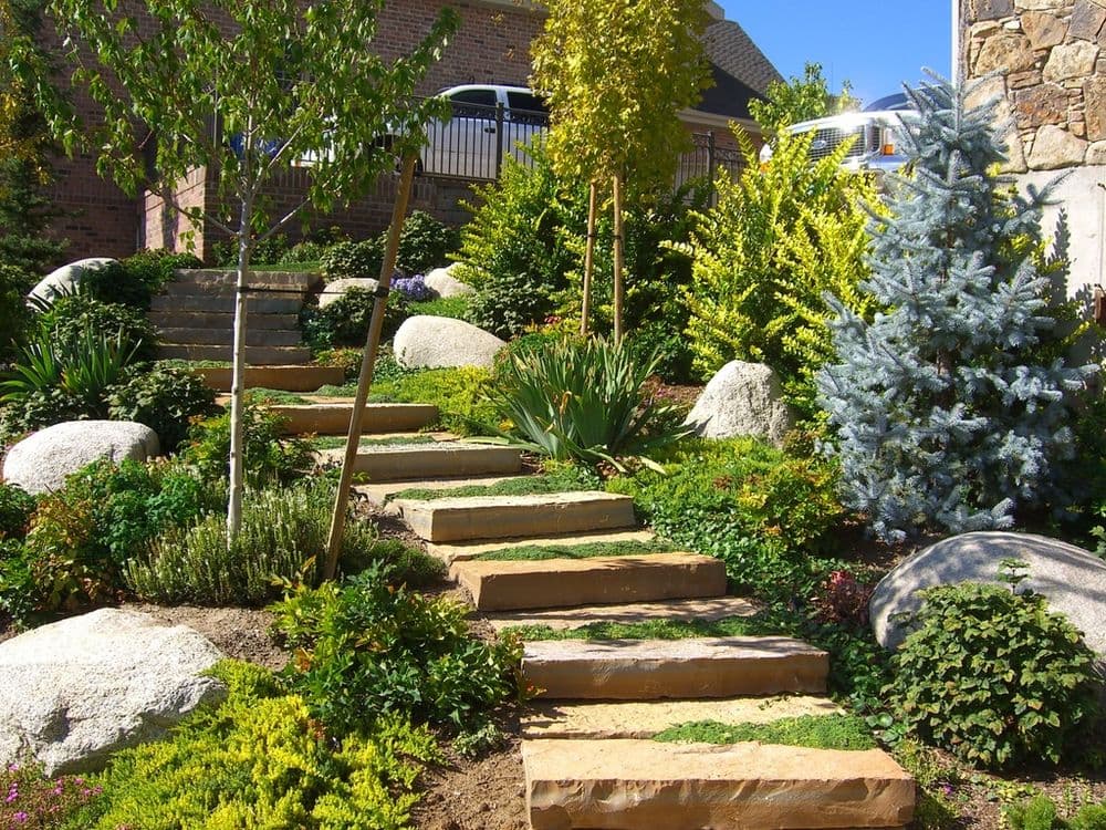 Stone steps leading through a lush garden with various plants, trees, and rocks.