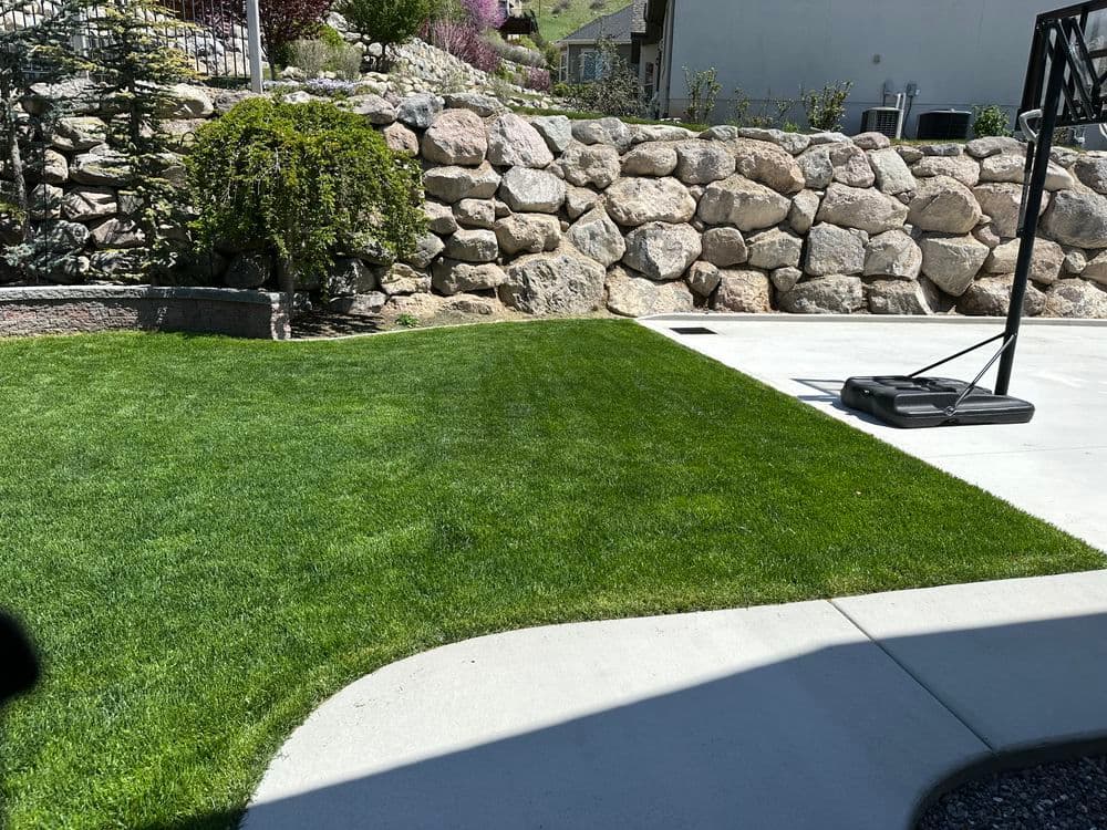 Lush green lawn with a stone wall and basketball hoop in a well-maintained backyard.