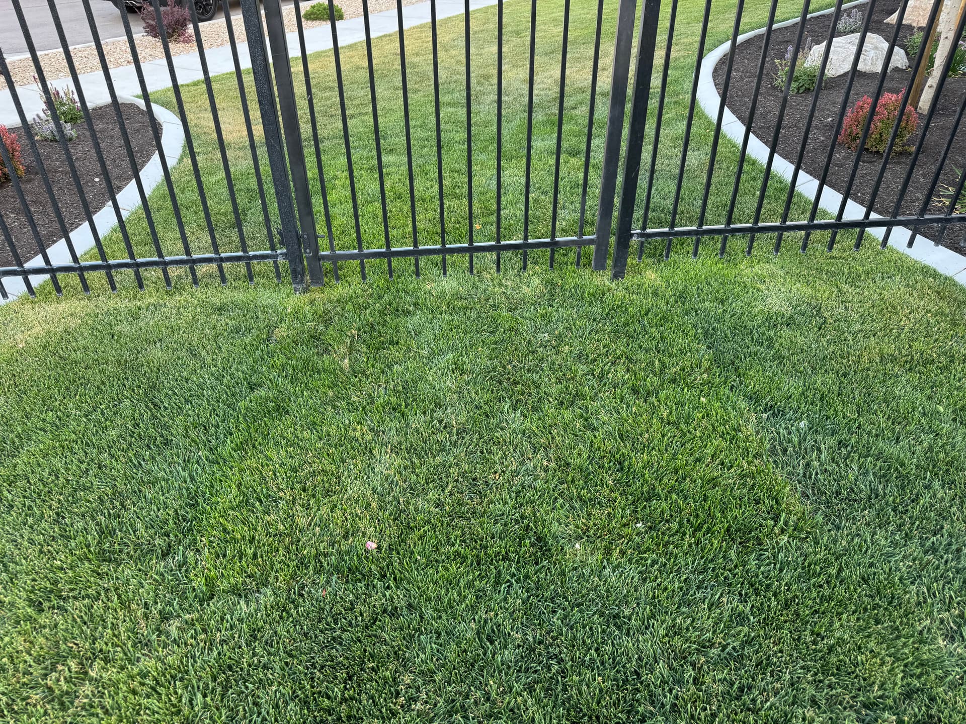 How Geo Grid Keeps High-Traffic Turf From Turning Into Ruts image